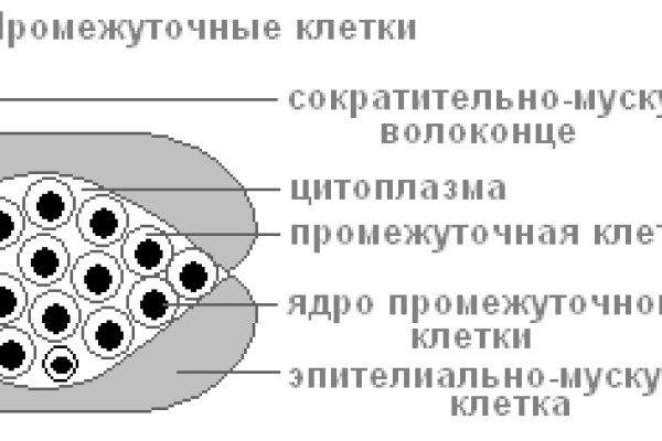 Кракен запрещенные вещества