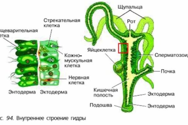 Как найти настоящую кракен даркнет ссылку