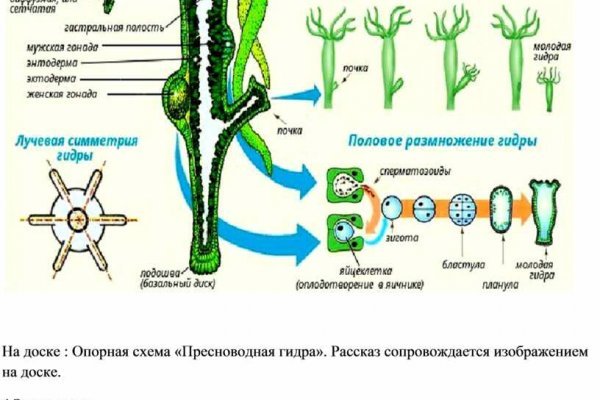 Кракен вход официальная ссылка