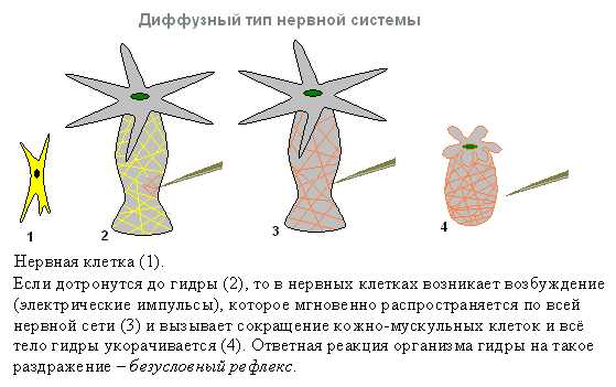 Ссылка кракена kraken clear com